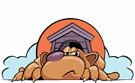 Dog in doghouse