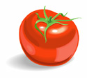 Tomatoe